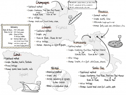 Sketchnote zum Thema Herkunft und Eigenschaft von Weinen.